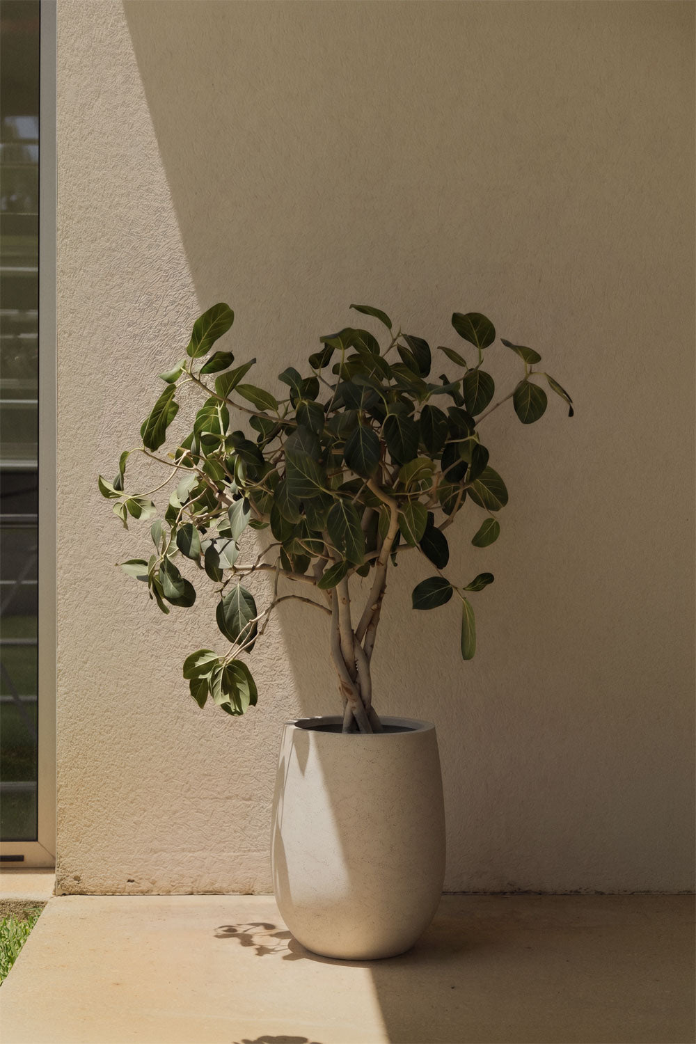 Pot de fleurs d'extérieur en ciment Grover - 1